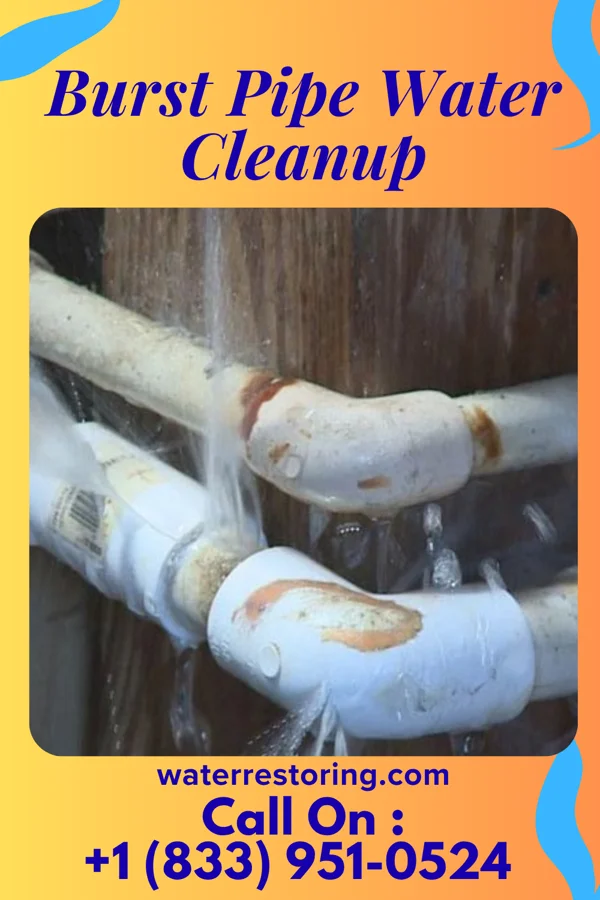 Burst Pipe Water Cleanup in Pimmit Hills, VA