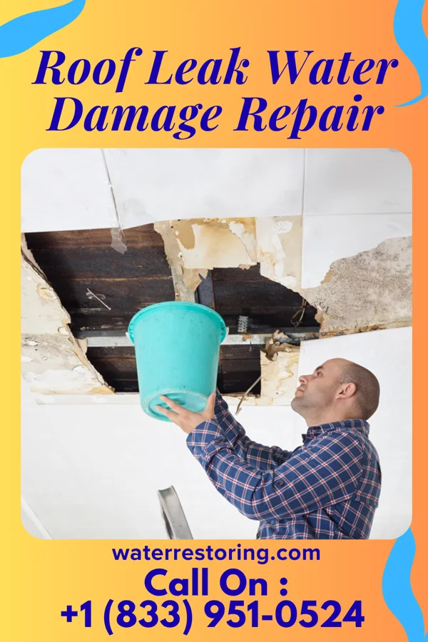 Roof Leak Water Damage Repair in Pimmit Hills, VA
