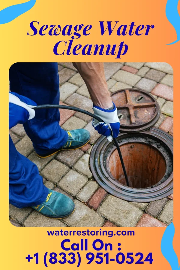 Sewage Water Cleanup in Pimmit Hills, VA