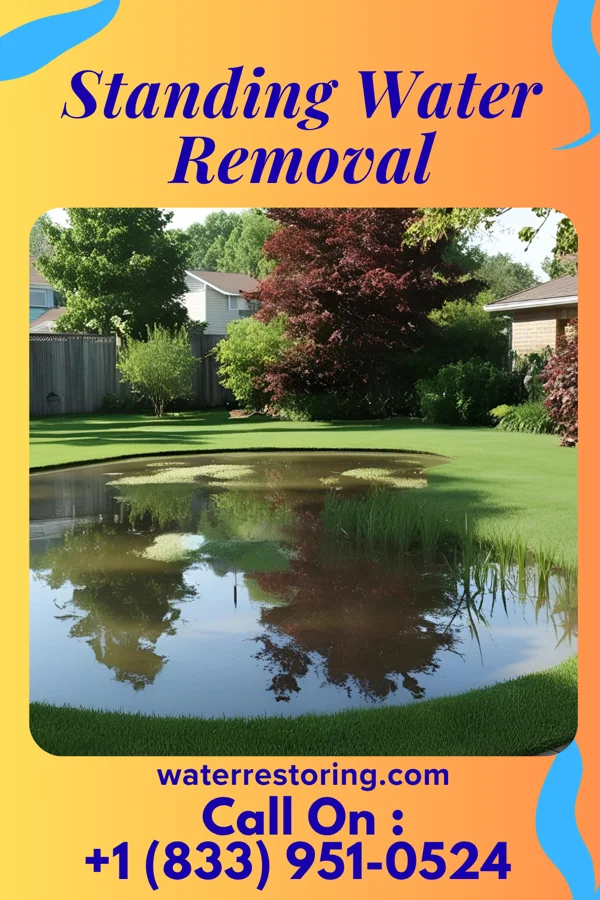 Standing Water Removal in Pimmit Hills, VA